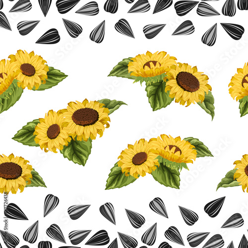 Pattern with seeds and sunflowers.Bouquets of sunflowers and a scattering of seeds on a transparent background in a vector pattern.