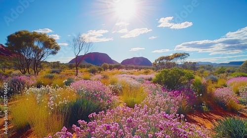 Desert wildflowers bloom under a bright sun, Australian outback landscape, travel poster