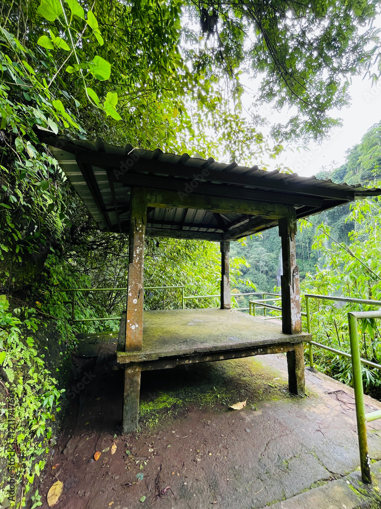 An old wooden gazebo built in the jungle An old wooden gazebo built in the jungle