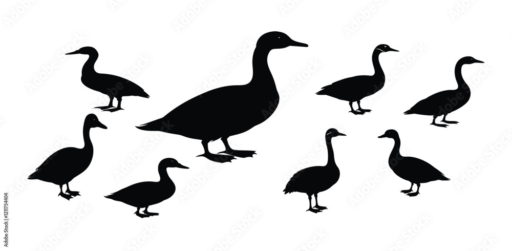 A set of duck bird silhouette vector A set of duck bird silhouette vector