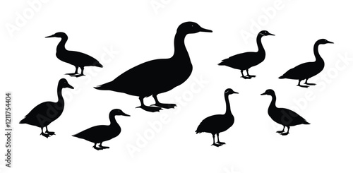 A set of duck bird silhouette vector