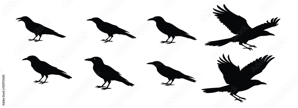 A group of crow silhouette vector illustration A group of crow silhouette vector illustration