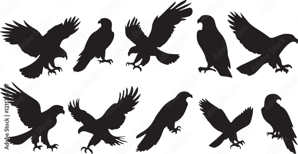 Obraz premium Falcon silhouette Collection
