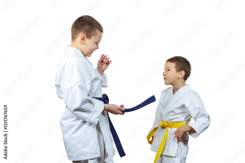 Two cheerful athletes of different heights with yellow and blue belts on a white isolated background Two cheerful athletes of different heights with yellow and blue belts on a white isolated background