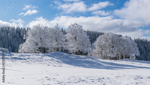 die eiskalte Bise ergibt bizarre Bilder im Neuenburger Jura