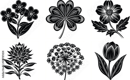 Set of Queen Annes Lace, Forget Me Not, Tulip, Indian Paintbrush, Clover, and Buttercup Silhouette Vectors