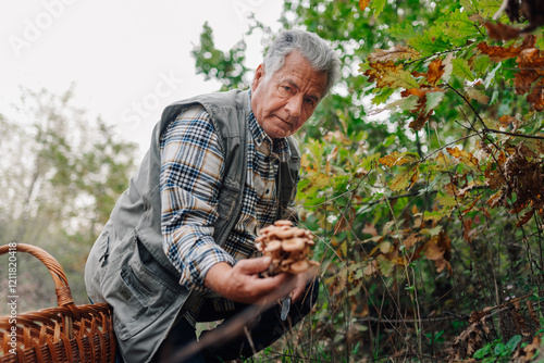 Tableau sur toile Senior man harvesting wild mushrooms in autumn forest