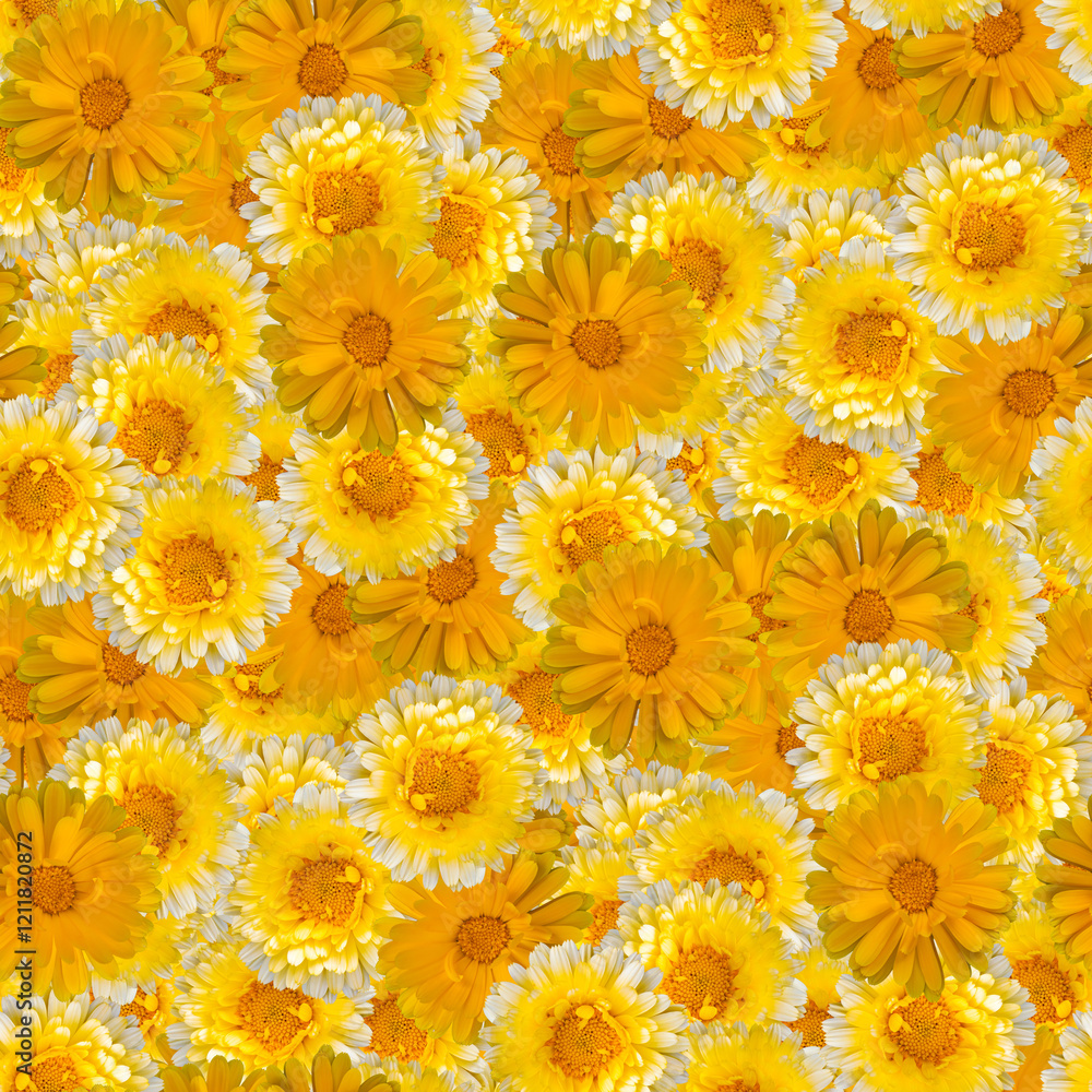 Vibrant yellow flower seamless background texture with cheerful blooms Vibrant yellow flower seamless background texture with cheerful blooms