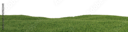 Green grass field with daylight lighting isolated on transparent background. 3d realistic rendering . PNG format
