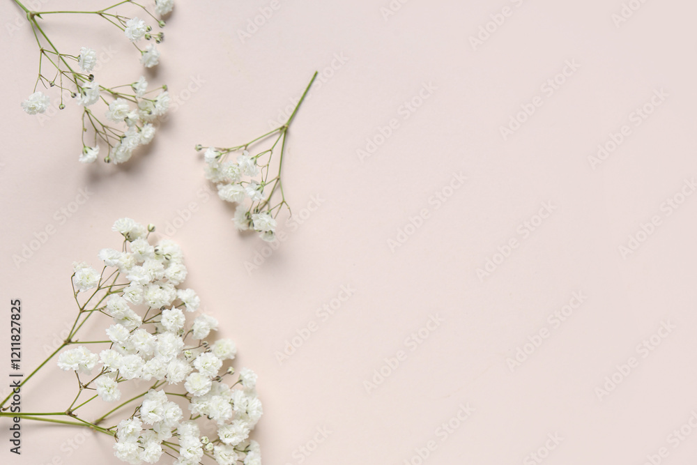 Obraz premium Beautiful composition with gypsophila flowers on beige background