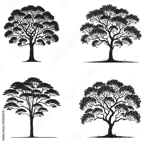 High-Quality Monochrome Vector Silhouettes of the Paperbark Tree Isolated on a White Background"