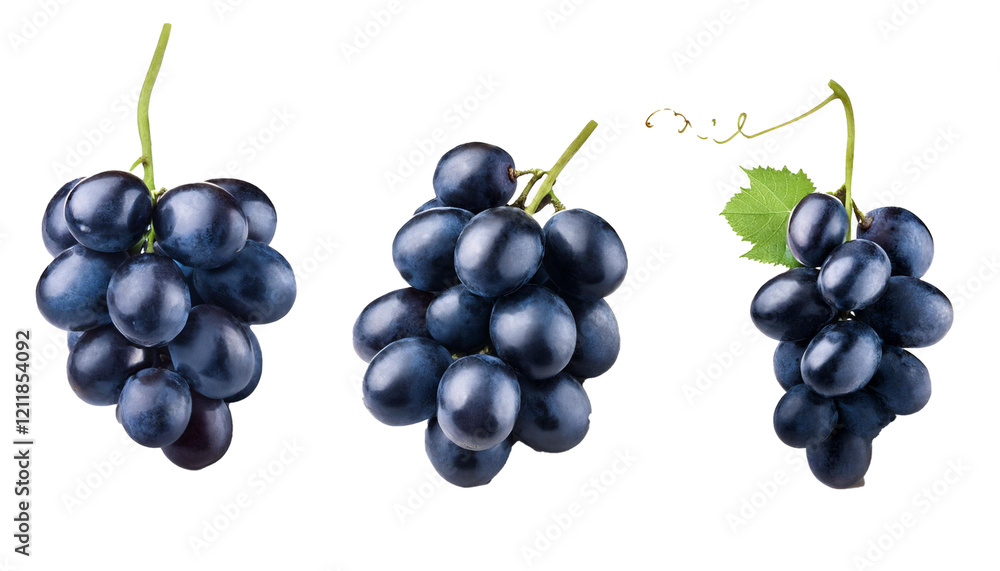 A stunning collection of dark blue grapes isolated on a clean white background, showcasing their glossy surface and natural beauty, perfect for food-related themes. A stunning collection of dark blue grapes isolated on a clean white background, showcasing their glossy surface and natural beauty, perfect for food-related themes.