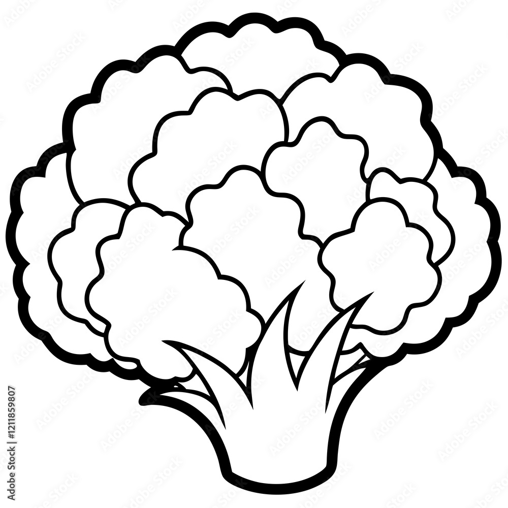 Cauliflower Line Art Vector Cauliflower Line Art Vector