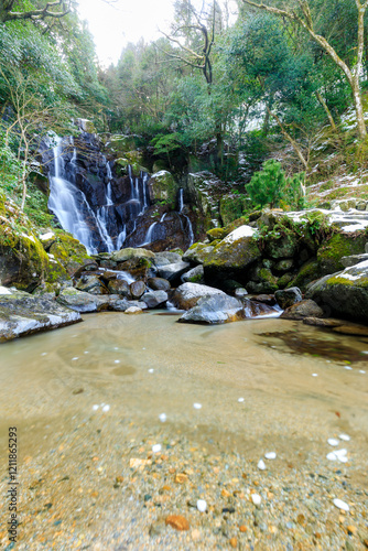 冬の積雪した白糸の滝　福岡県糸島市　Shiraito Falls covered with snow in winter. Fukuoka Pref, Itoshima City. photo