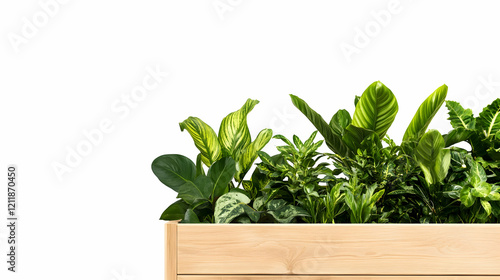 Lush green plants in wooden planter box against white background; ideal for interior design or gardening websites