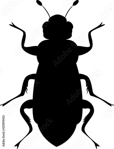 Cucumber beetle, Diacritical, Analemma. Insect pest. Vector silhouette