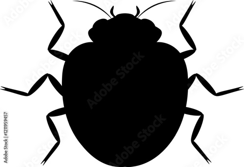 Cucumber beetle, Diacritical, Analemma. Insect pest. Vector silhouette photo