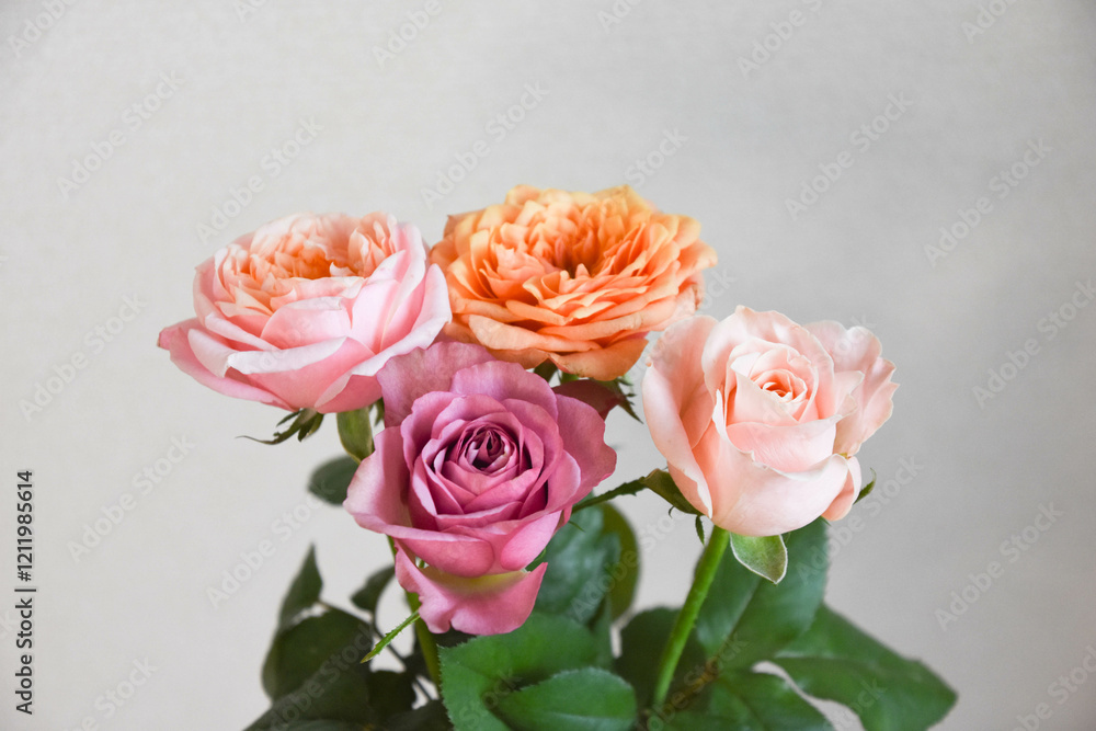 カラフルな薔薇 カラフルな薔薇