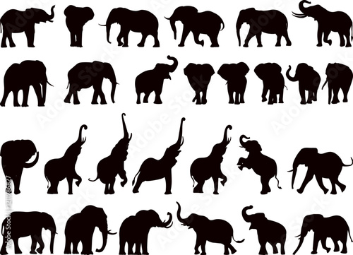 silhouette elephants in different poses collection, vector