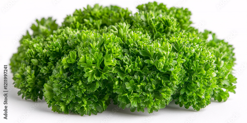 Fototapeta premium A vibrant bunch of fresh parsley, isolated on a white background.