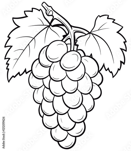 Coloring book for kids Grapes vector Black vector illustration.