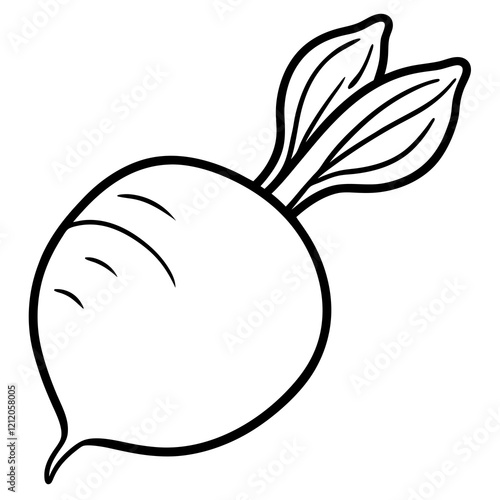 Radish Outline Vector Illustration in One Stroke