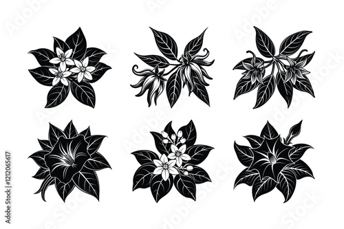 Set of Sacred Datura, Ylang Ylang, and Arabian Jasmine Flower Silhouette Vector Art