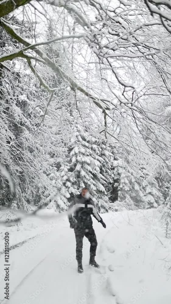 a man in a winter forest shakes trees so that snow will fly off them, the joy of winter outdoor activities, walks in the forest a man in a winter forest shakes trees so that snow will fly off them, the joy of winter outdoor activities, walks in the forest