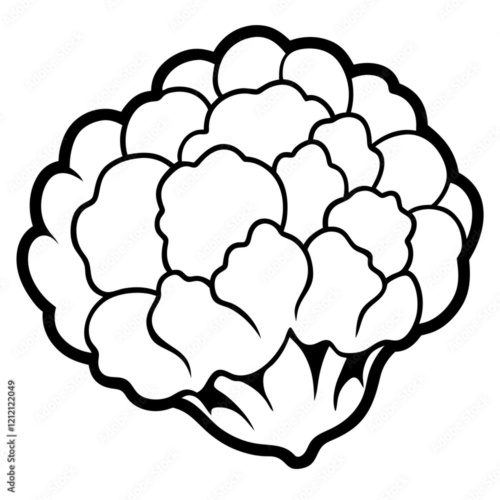 Stylized Cauliflower Vector Graphic Stylized Cauliflower Vector Graphic