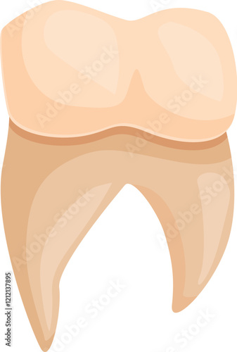 Illustration of a healthy human tooth, highlighting its crown and root structure, essential for chewing and overall oral health