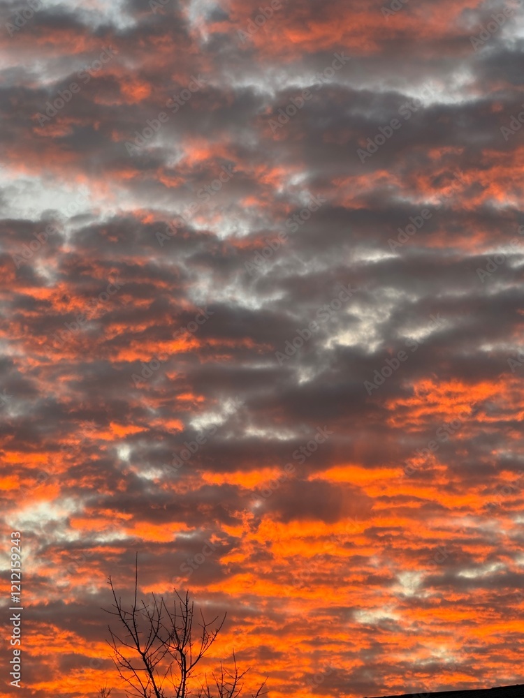 red sky with clouds. red sunset sky. trees. mountains red sky with clouds. red sunset sky. trees. mountains