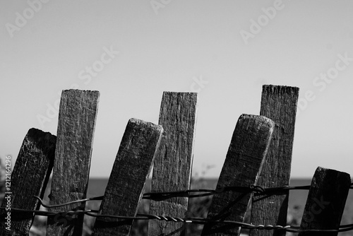 wooden beach fence in black and white