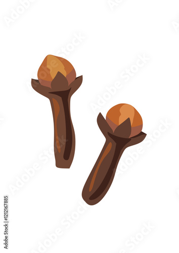 allspice on the white background, vector, spice