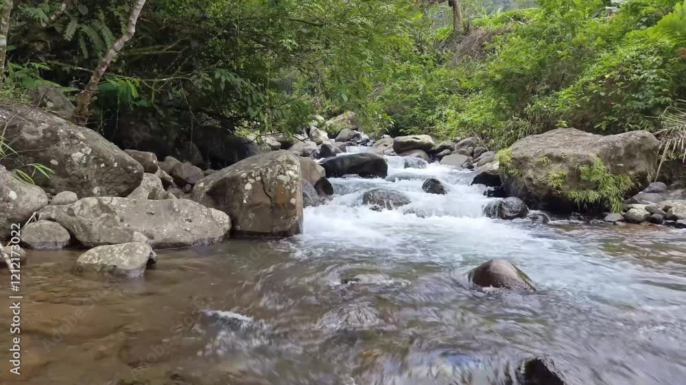 Title: Slow motion of mountain river, river flow through rocks. Close-up of river rocks with flowing water, clear water flowing in mountain river
Title: Slow motion of mountain river, river flow through rocks. Close-up of river rocks with flowing water, clear water flowing in mountain river
