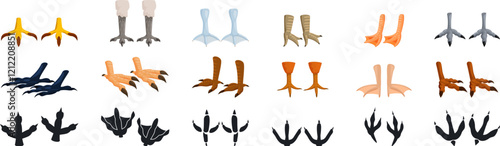 Bird feet icons set. Bird feet and footprints exhibit remarkable diversity, reflecting adaptations to various habitats and lifestyles