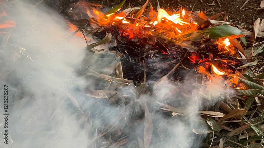 when bamboo leaves turn back to ashes when bamboo leaves turn back to ashes