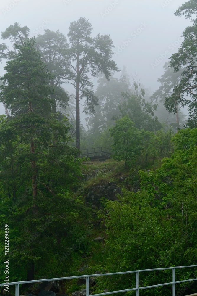 Pedestrian bridges in the forest in the fog, Valaam Island. Pedestrian bridges in the forest in the fog, Valaam Island.