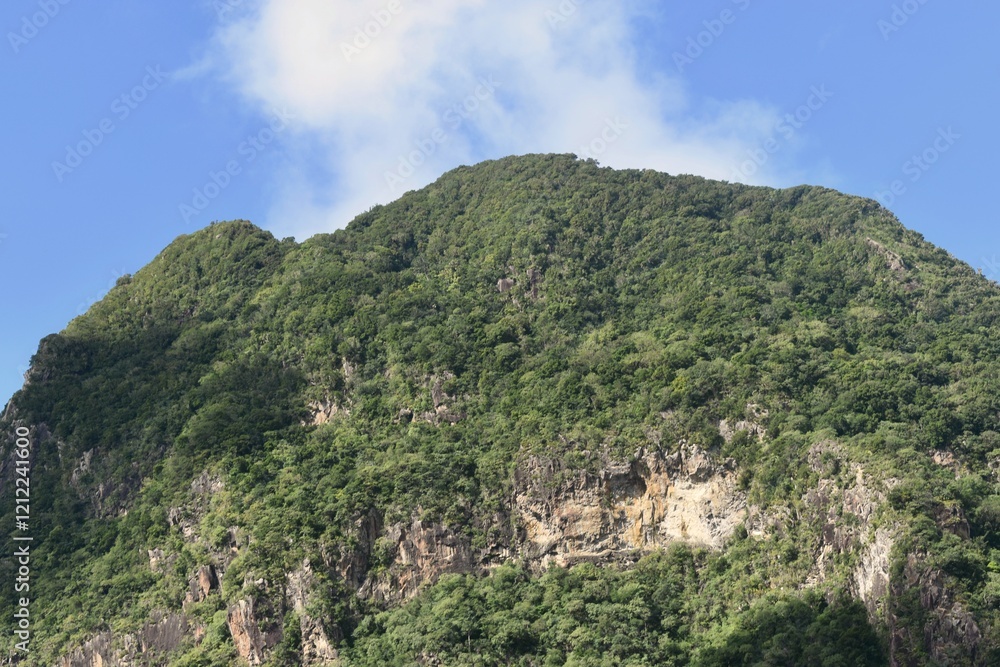 Naklejka premium landscape with blue sky