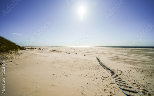 View of the dunes on the North Frisian island of Amrum. Landscape in the north. Nature on the North Sea island.
 photo