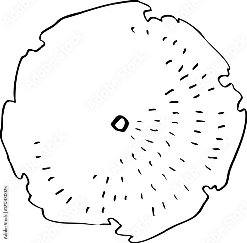 minimalist hand drawn top view of tree illustration.