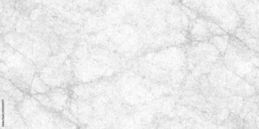 Abstract earth cracks texture on isolate vector background, Black and white old dirty texture, white and black cracks Transparent texture with vector marble pattern background. Abstract earth cracks texture on isolate vector background, Black and white old dirty texture, white and black cracks Transparent texture with vector marble pattern background.