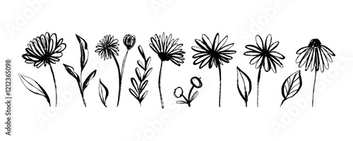 Grunge Elegant Flower Collection Hand Drawn with Black Ink Isolated on White Background. Modern Dry ink strokes of herb silhouettes. Brush dry painting of field plants photo