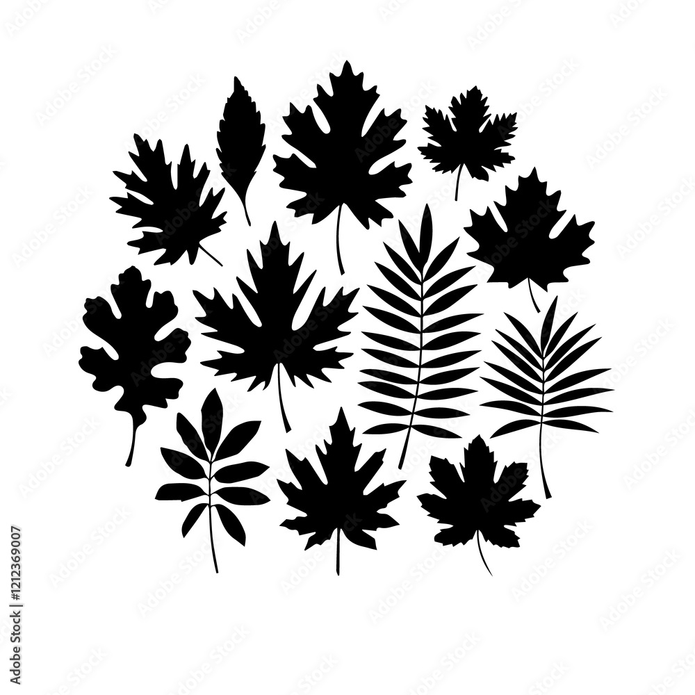Fototapeta premium set of leaves silhouettes