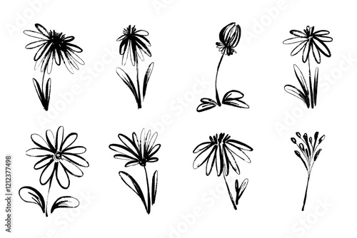 Black Ink Silhouettes of Grunge Flowers Isolated on White Background. Set of plants hand painted with dry ink photo