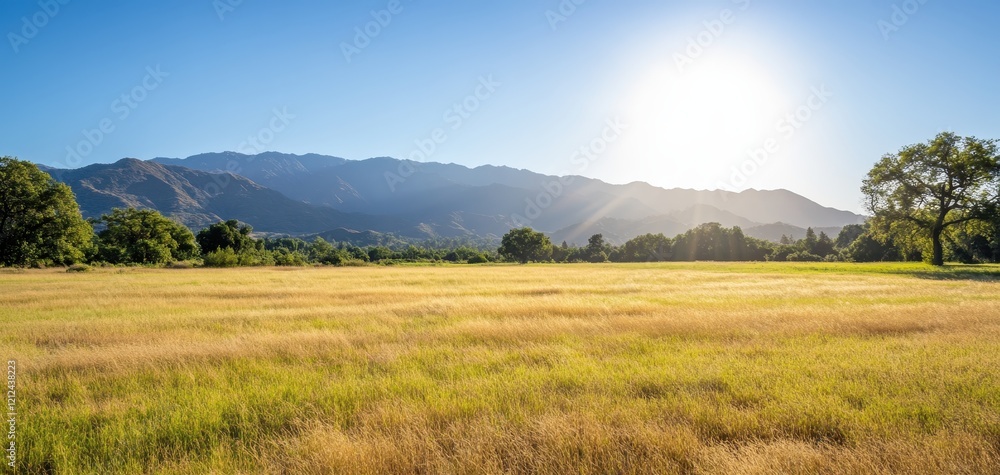 A serene landscape featuring a sunlit field and mountains in the distance under a clear blue sky. A serene landscape featuring a sunlit field and mountains in the distance under a clear blue sky.