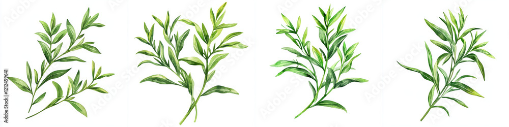 Fresh tarragon sprigs illustrated in various styles, showcasing vibrant green leaves Fresh tarragon sprigs illustrated in various styles, showcasing vibrant green leaves