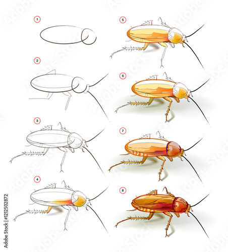 How to learn to draw sketch of a cockroach. Creation step by step watercolor painting. Educational page for artists. Textbook for developing artistic skills. Vector illustration.