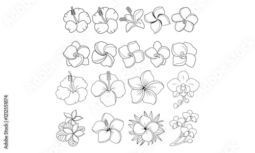 Tropical Flower Line Art Collection - Hibiscus, Plumeria, and Orchid Vector Set