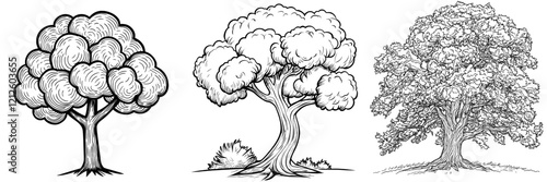 Modern black and white isolated sketch of an old oak tree