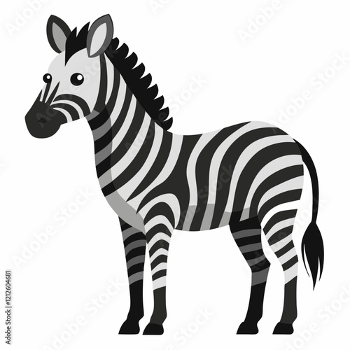 zebra vector illustration